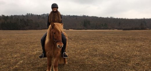 Skozi oči - Katarina na konju